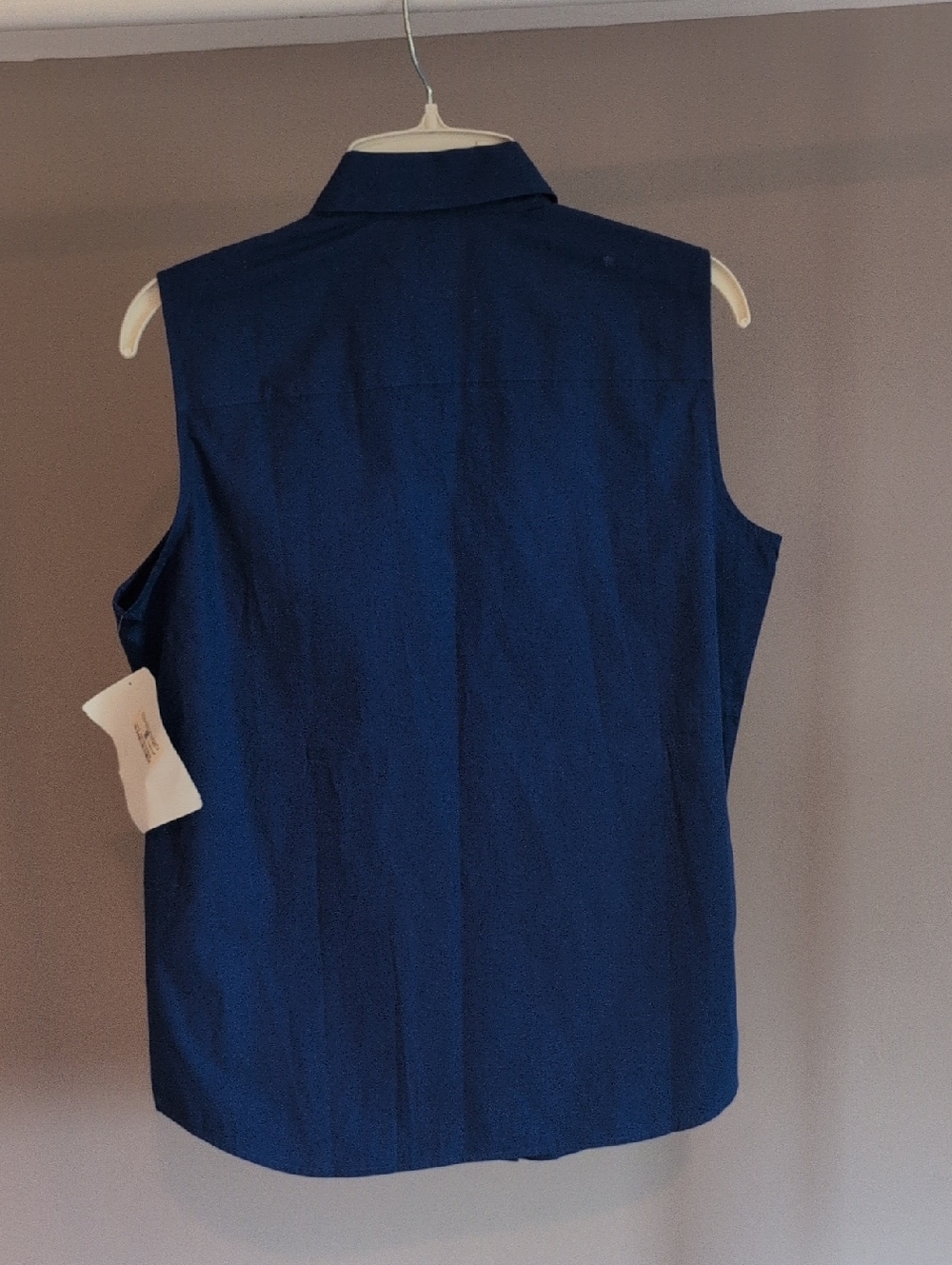 Ralph Lauren Sleeveless Button-down Shirt NWT - Picture 5 of 9
